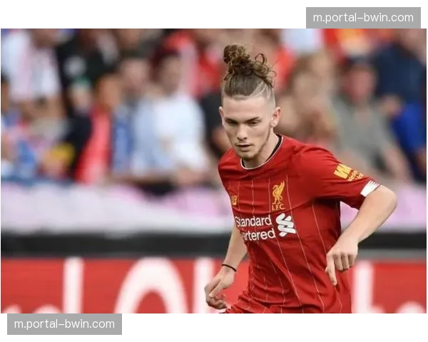 纽卡斯尔中卫舍尔踝关节受伤 防线高空球防守存在隐患